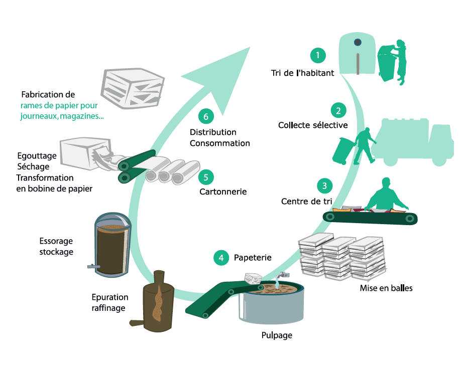 Recyclage du papier : tout savoir sur son cycle de vie ! - Tri-o